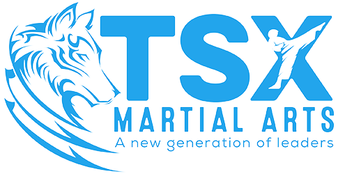 TSX Martial Arts Logo